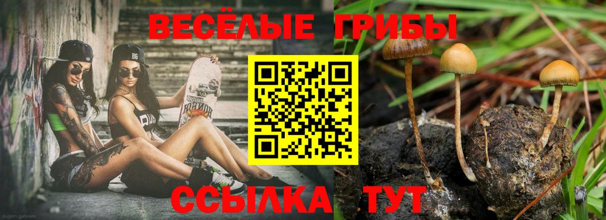 Кисловодск  Псилоцибиновые грибы мухоморы  Вход с VPN 
